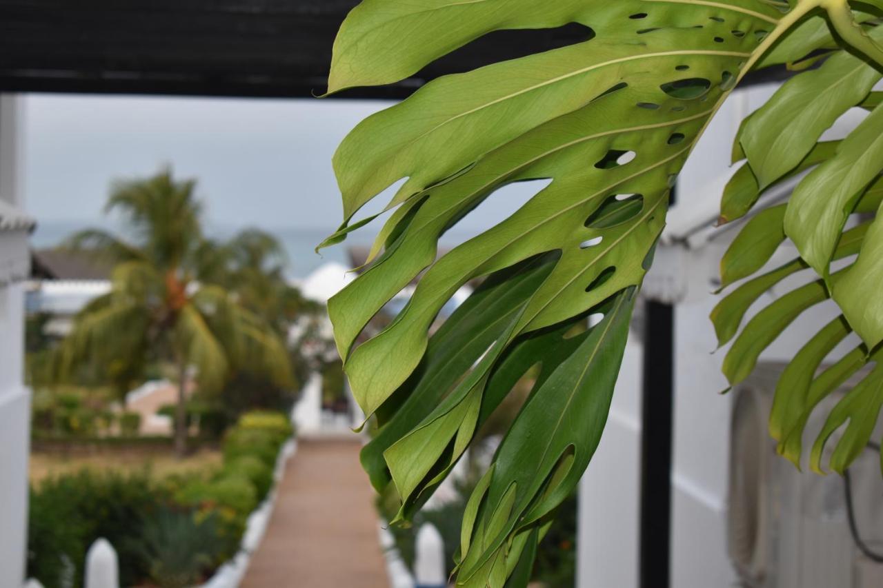 Varadero Zanzibar Hotel Kendwa Buitenkant foto