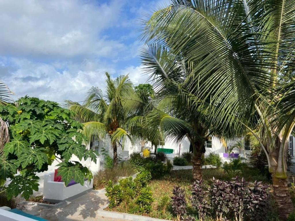 Kendwa Beach Resort Buitenkant foto